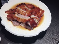 -MR鹅外