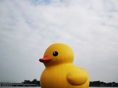 -深圳人才公园