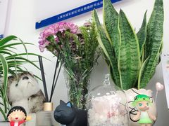 -双季花艺园艺市场(浦东店)