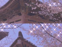 -西安青龙寺遗址景区