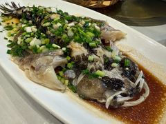 -老牌坊鲁菜名店(聊城美食岛店)