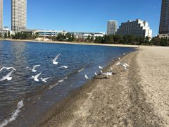 -台场海滨公园船码头