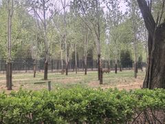 -秦皇岛野生动物园