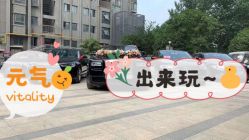 -蚂蚁婚车