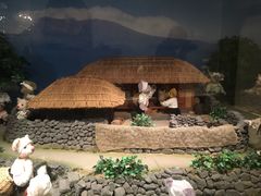 -济州岛泰迪熊博物馆