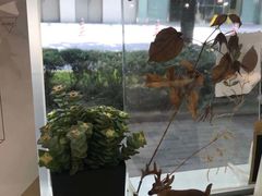 -Manner Coffee(大宁国际商业广场店)