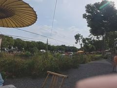 -丫丫蟹庄·苏式园林农家乐·阳澄湖大闸蟹(阳澄湖莲花岛店)