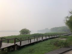 -长广溪湿地公园
