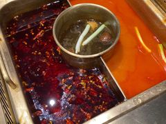 -九鼎轩脆毛肚火锅(商业街店)