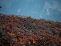 -周口店坡峰岭风景区