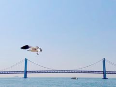 -星海广场