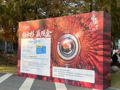 -黄海国家森林公园