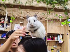 -藦茜花园宠物主题亲子互动体验馆(国顺东路店)
