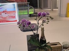 -一叶一世界•素食餐厅(新光天地店)