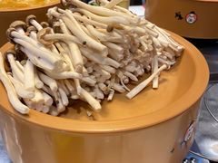 -龍歌自助小火锅(李沧丽达店)