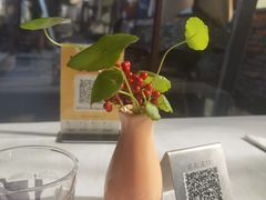 -野蔓果·山野菜(西湖景区·龙井茶田店)