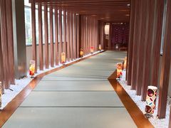 -重庆南山海昌汤都