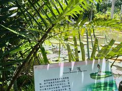 -中国科学院西双版纳热带植物园