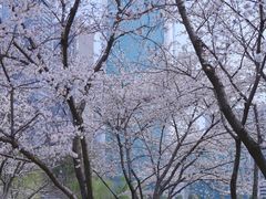 -西北湖绿化广场