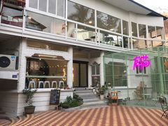 -有猫主题·治愈系猫咖(曾厝垵店)