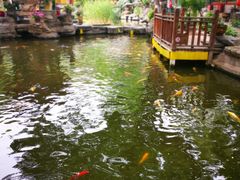 -白家大院·王府宫廷菜(苏州街店)