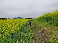 -光明小镇欢乐田园