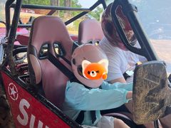 -东海森林温泉度假酒店