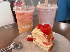 -Wagas沃歌斯(大学路店)