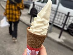 -南丫岛