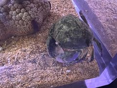 -欢乐海岸海洋奇梦馆