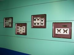 -上海昆虫博物馆