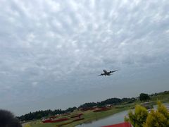-空港花田景区
