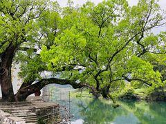 -上坦村