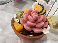 -哈根达斯(大悦城店)