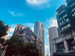 -石灰市毛记烧鸡公(解放碑店)