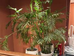 -那拉提之疆·新疆菜(美院店)