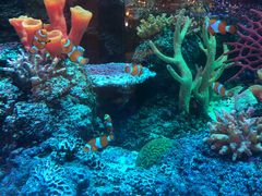 -沈阳海洋探索中心