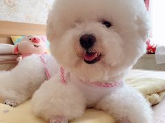 -爱侣宠医·鹦鹉专科·小型哺乳类·异宠专科(灵石路店)