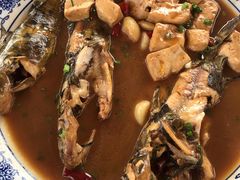 昂刺鱼炖豆腐-大队长大灶鹅