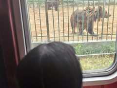 -秦皇岛野生动物园