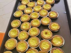 -兜莱·亲亲袋鼠国际早教