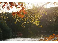 -共青国家森林公园-售票处