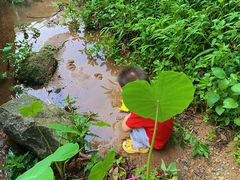 -火炉山森林公园