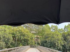 -东莞植物园