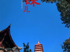 -宝光寺