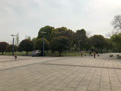-九里河湿地公园