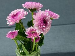 -大润发(鹤山店)