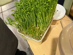 -海底捞火锅(莘松路店)