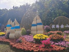 -上海共青森林公园