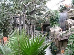 曲径通幽-绿色时代大酒店